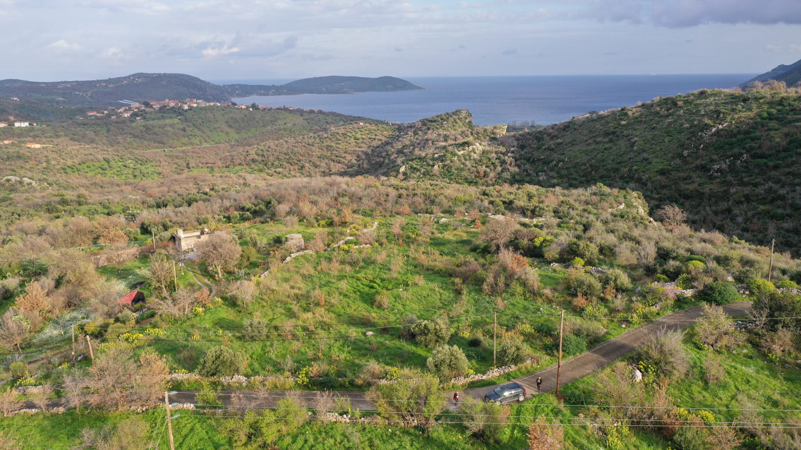 ΟΙΚΟΠΕΔΟ ΠΑΡΑΣΥΡΟΣ
